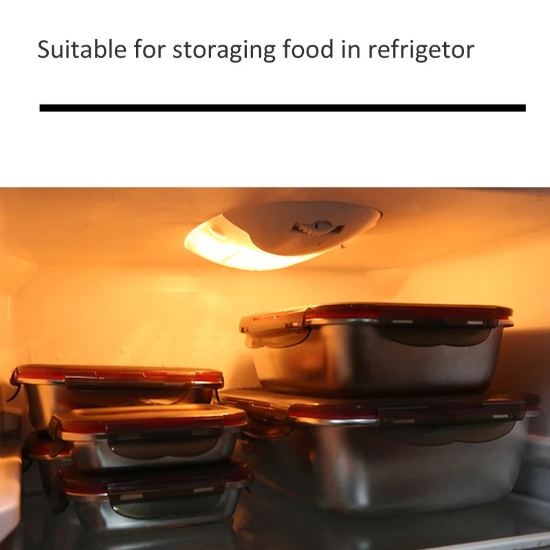 Stainless Steel Lunch Bento Box  Leakproof | FitNest UK